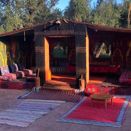 Eco-Ferme Tamalait Skoura Hotel Екстериор снимка