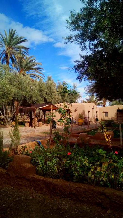Eco-Ferme Tamalait Skoura Hotel Екстериор снимка