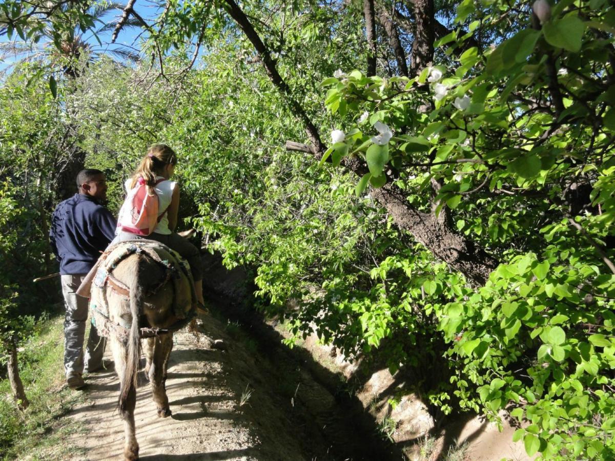 Eco-Ferme Tamalait Skoura Hotel Екстериор снимка